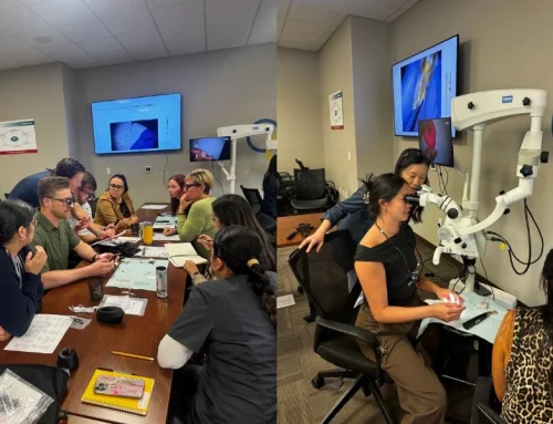 How Continuing Education Helps Us Provide Better Dental Care in Reno